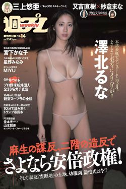 五星红旗迎风飘扬2